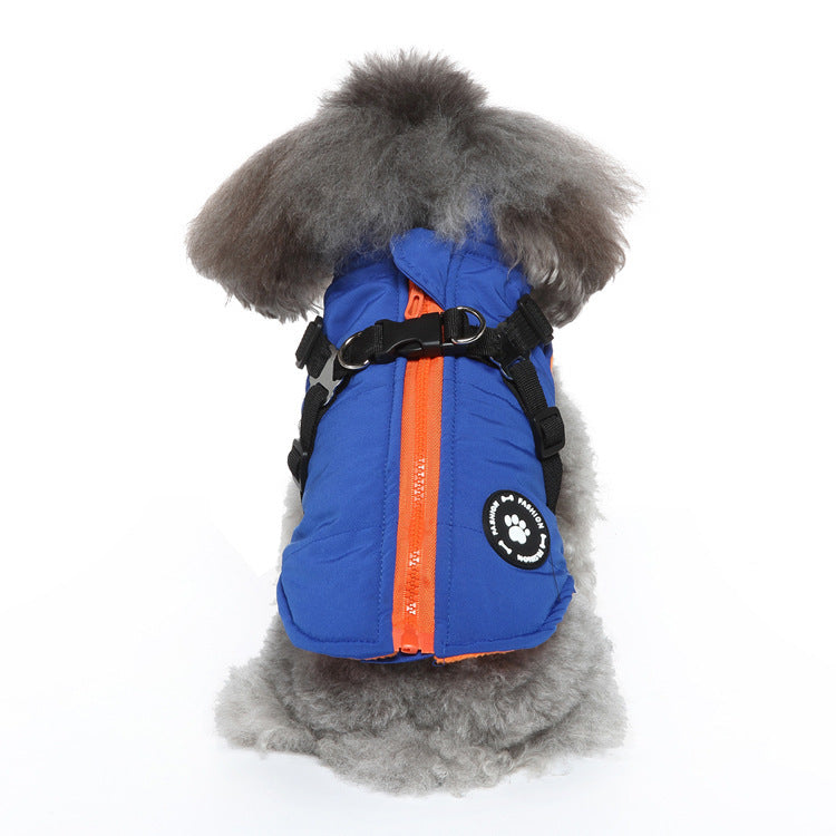 Rear view of a fluffy dog wearing a blue chest strap jacket cotton-padded coat with orange zipper.