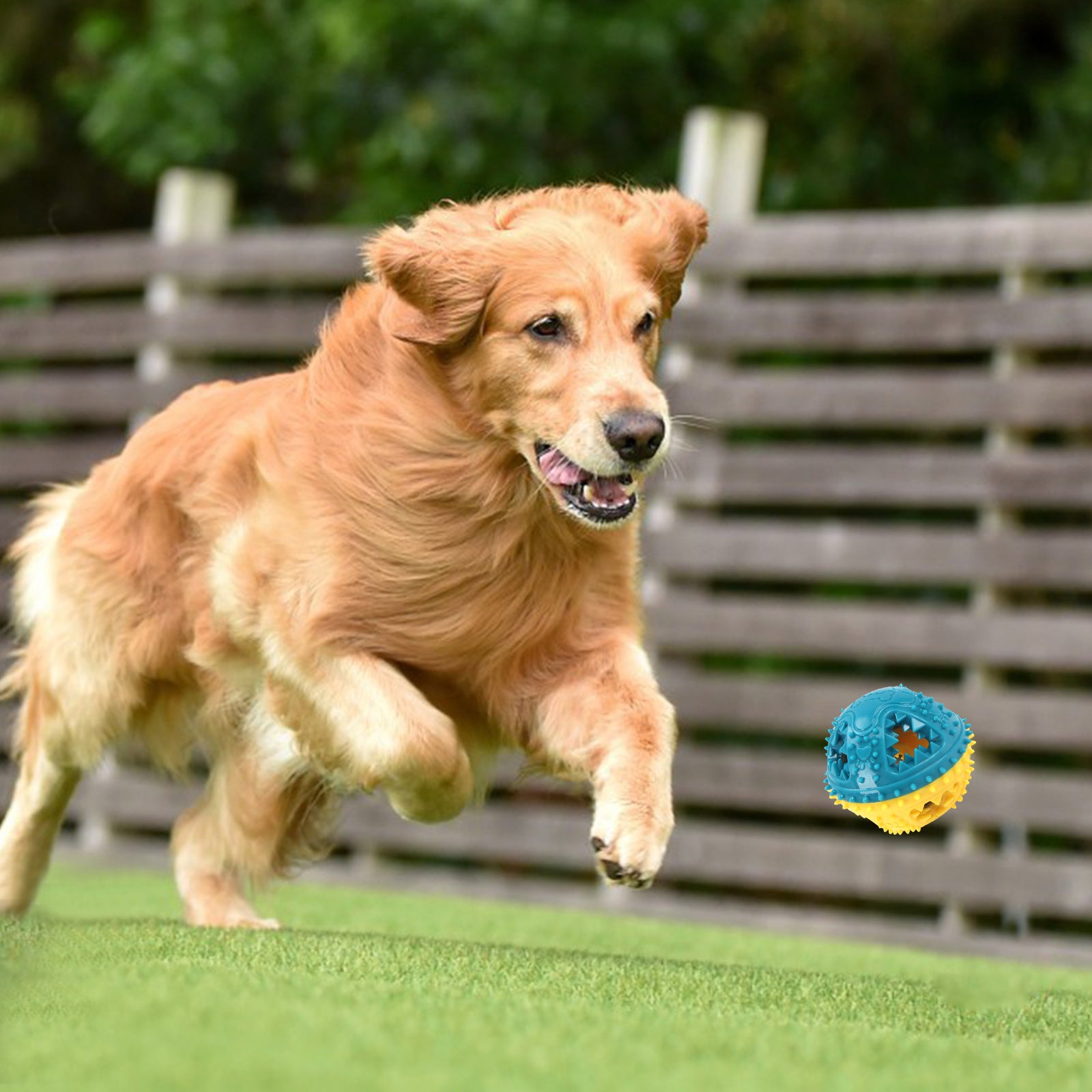 Dog Chew Toys Grinding Teeth Sound Ball Toys 