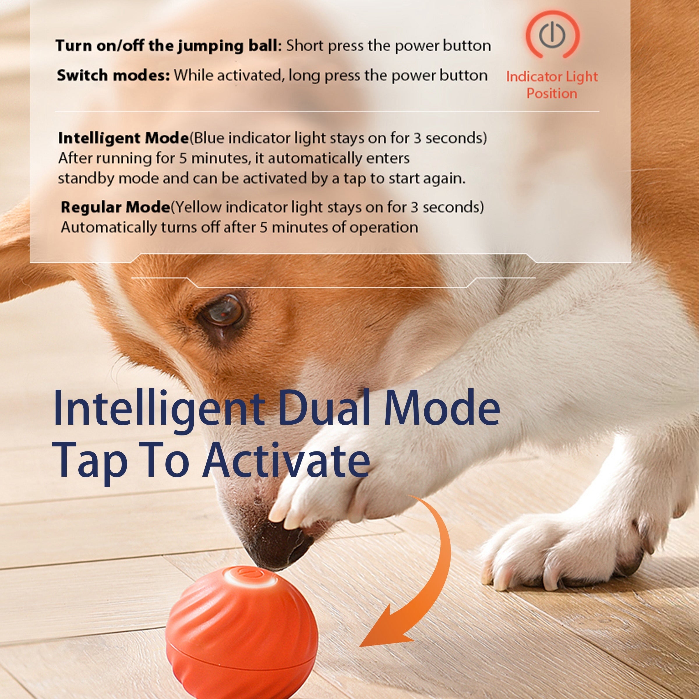 Interactive Bouncing Ball For Dogs Automatic Smart Toy