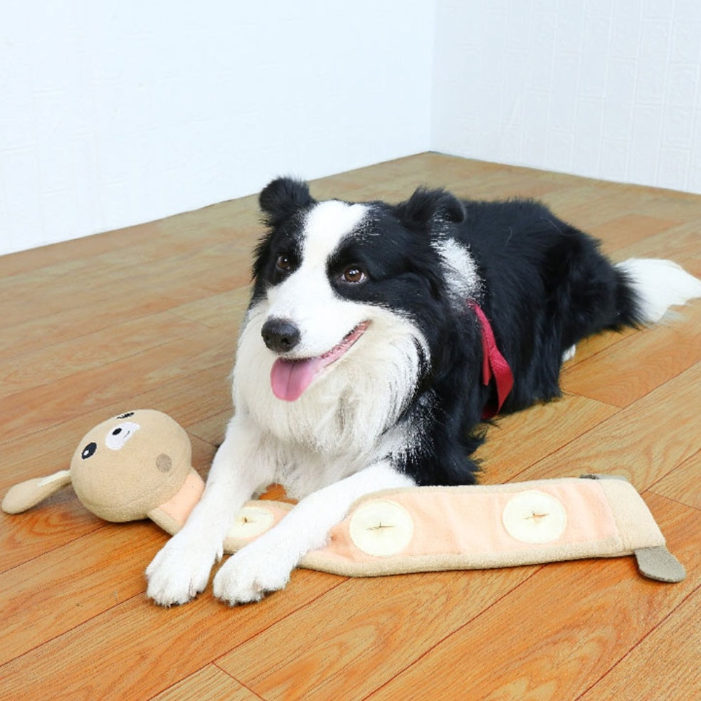 Playful dog with plush bite-resistant toy on hardwood floor, ideal for pet training and fun.
