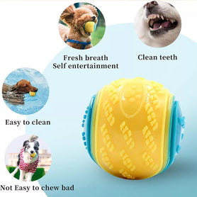 Scooby-Doo squeaky dog ball benefits: fresh breath, clean teeth, easy to clean, durable for playtime.