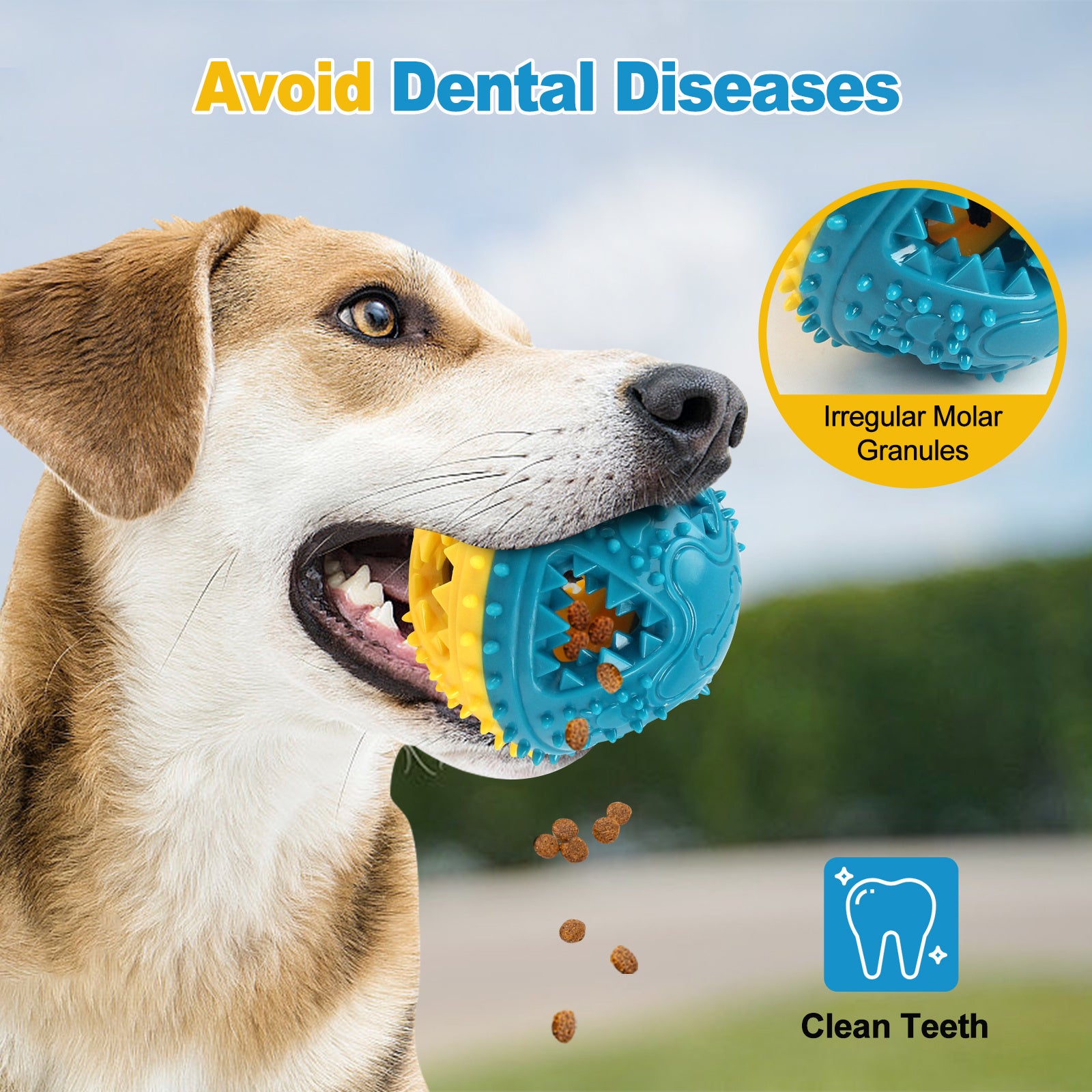 Dog Chew Toys Grinding Teeth Sound Ball Toys 