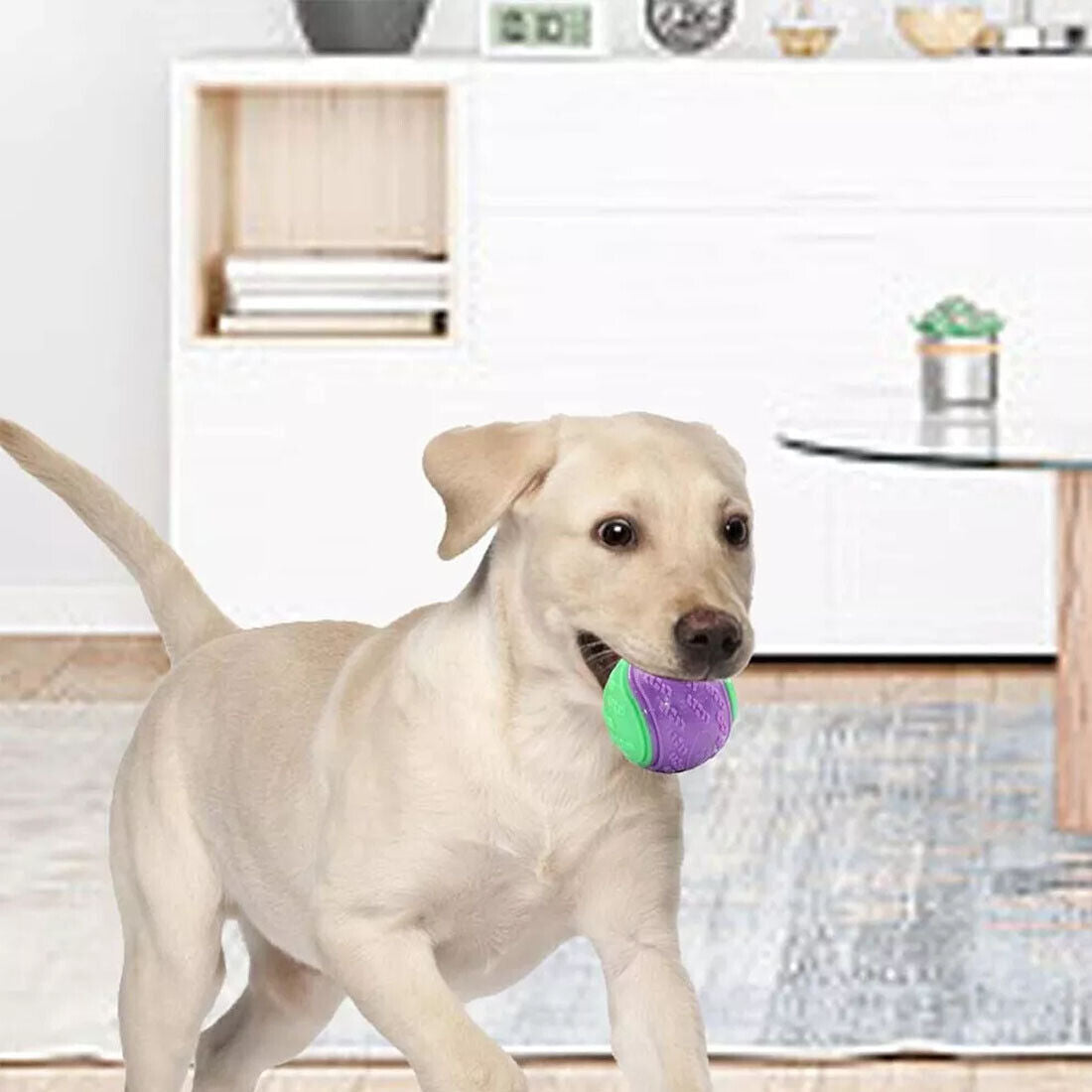Happy Labrador puppy playing indoors with Scooby-Doo squeaky dog ball in its mouth, surrounded by a stylish home interior.