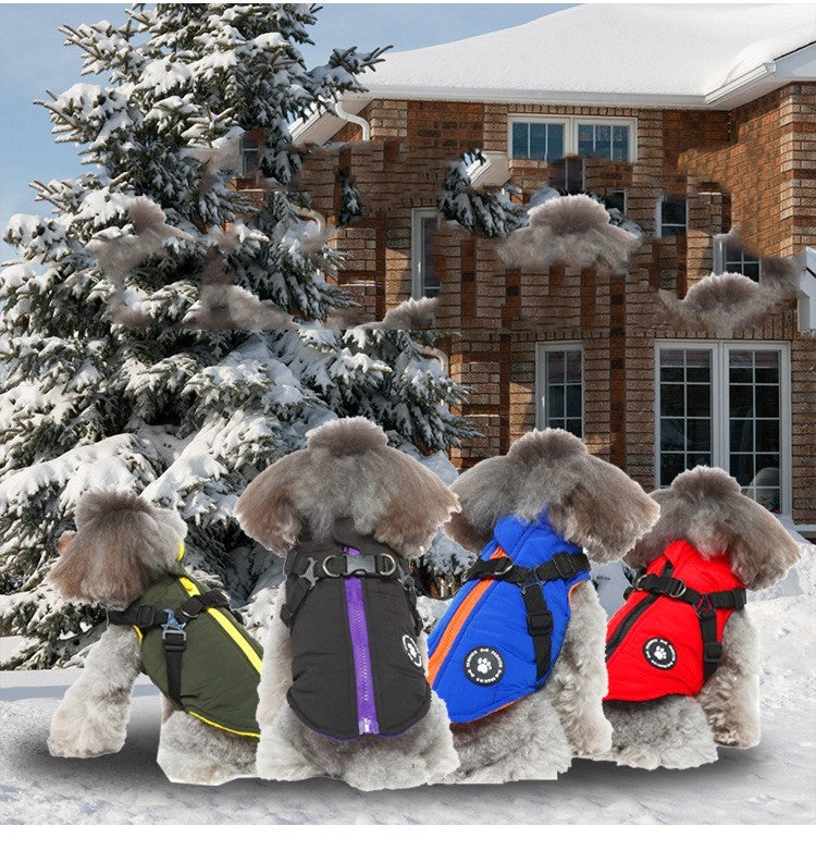 Three dogs in winter jackets sitting in the snow, showcasing colorful cotton-padded coats against a snowy backdrop.